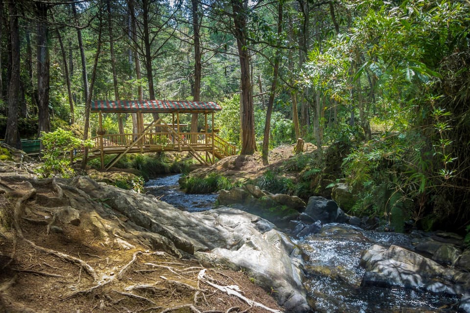 6. Paseo romántico por el Parque Arví (Medellín) San Valentín