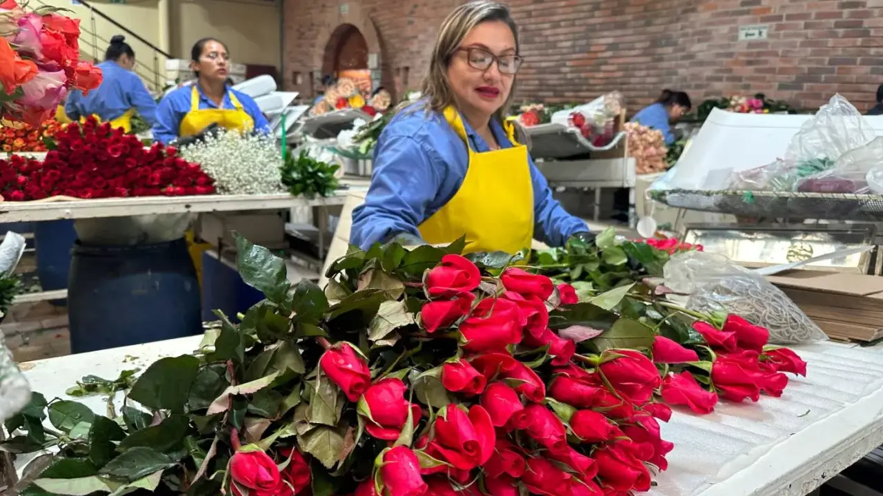 Exportación de flores colombianas a Estados Unidos: un alivio para el sector floricultor