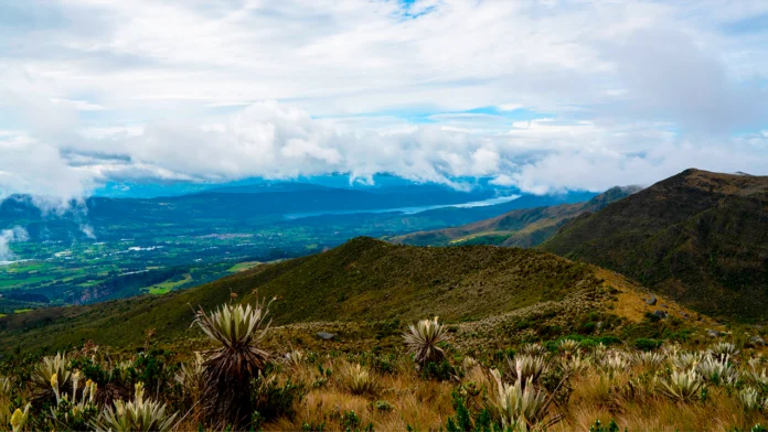 Bavaria ha implementado un modelo con cámaras trampa para evaluar los impactos positivos del programa en la biodiversidad, con las que se ha confirmado la presencia de especies nativas en áreas antes degradadas, evidenciando la regeneración de su hábitat a través de la creación de corredores biológicos.