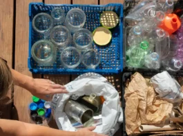 Desafíos y oportunidades del reciclaje en América Latina