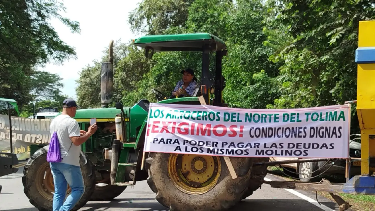 ¿Cuáles son las causas del paro arrocero en Colombia?