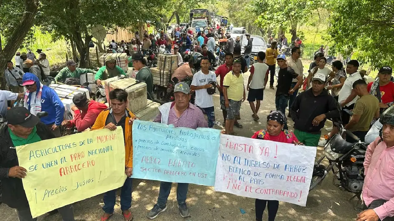 ¿Cuáles son las causas del paro arrocero en Colombia?