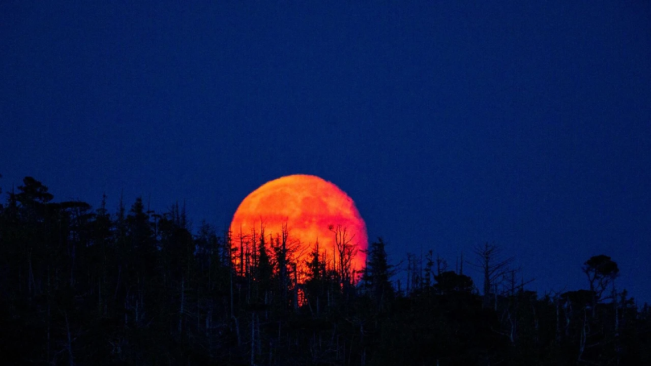 Siete días para el eclipse total lunar de marzo: ¿Se podrá ver en Colombia?