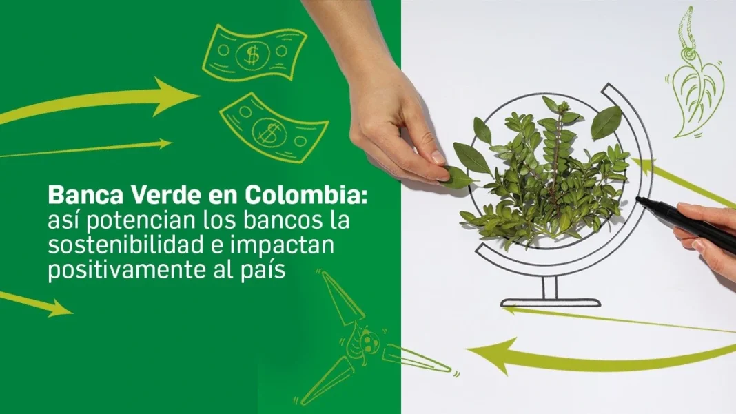 Banca Verde en Colombia: 13 años de avances, logros y compromisos sostenibles