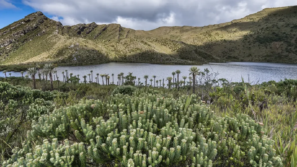 Galán descarta racionamiento de agua en Bogotá por estado en el embalse del sistema Chingaza 1 Galán descarta racionamiento de agua en Bogotá por estado en el embalse del sistema Chingaza