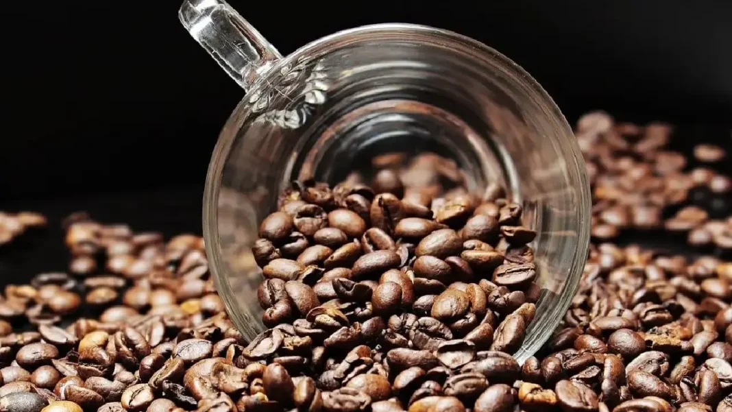 Exportaciones de café, aceite de palma y alimentos refuerzan el rol del agro en la economía colombiana