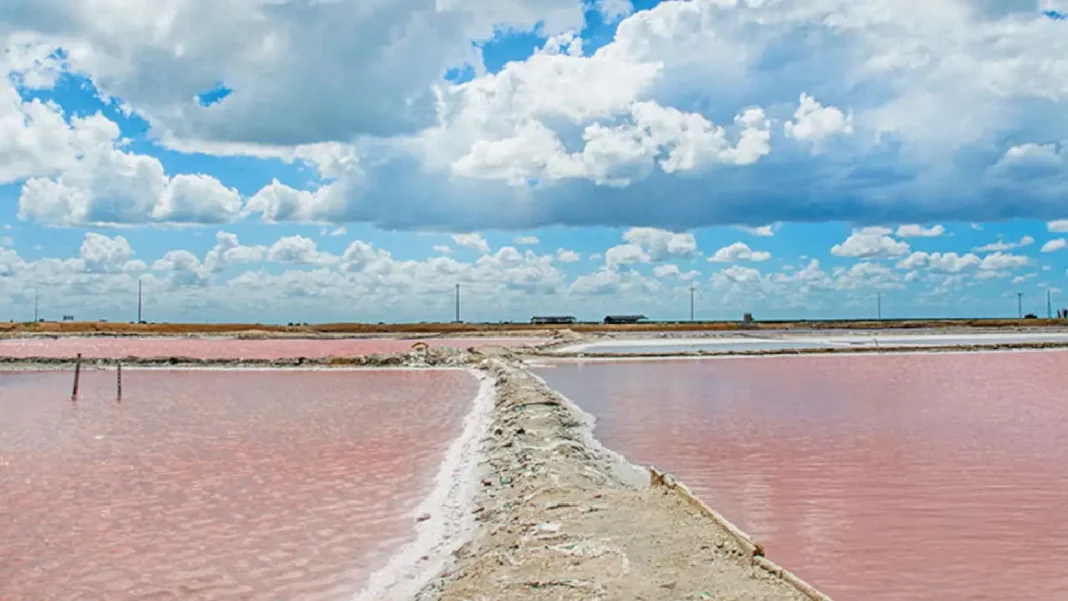 Congreso aprueba plan integral para salvar a las Salinas Marítimas de Manaure y reactivar la economía de la Guajira