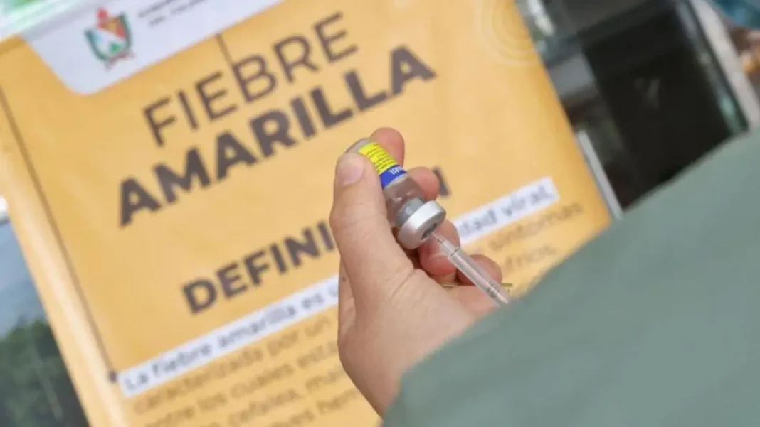 Ministerio de Salud declara emergencia por fiebre amarilla en Colombia y lanza plan de contingencia