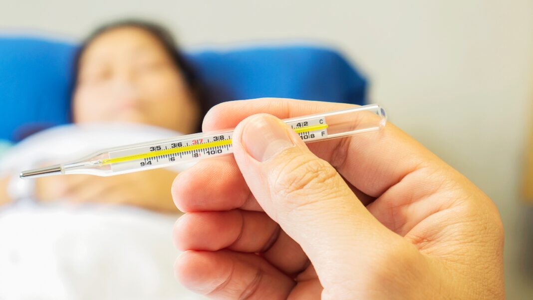 En vivo: Revise aquí si su ciudad o municipio tiene riesgo de contagio de fiebre amarilla