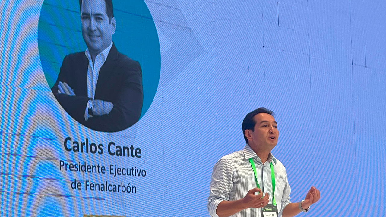 Carlos Cante, presidente ejecutivo de Fenalcarbón