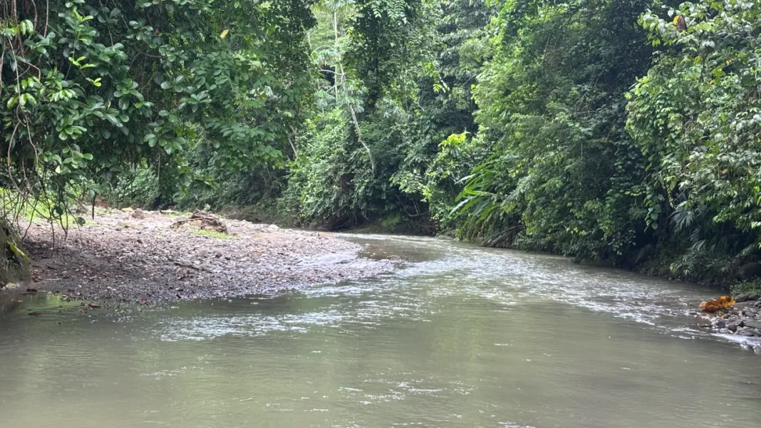 El acuerdo de voluntades que firmó EPM para proteger el agua, qué es y cómo funciona
