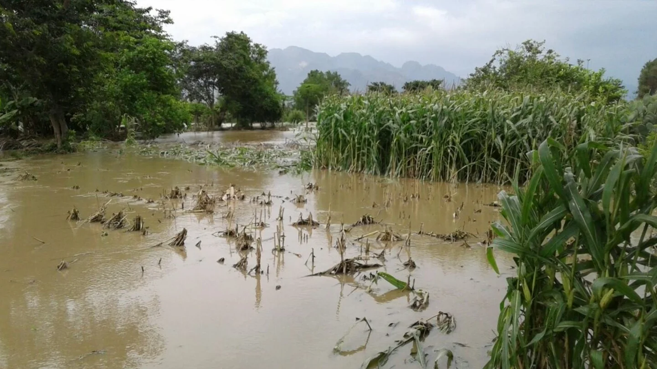 Pérdidas en el agro y las pymes por temporada de lluvias en Colombia alertan sobre necesidad de prevención