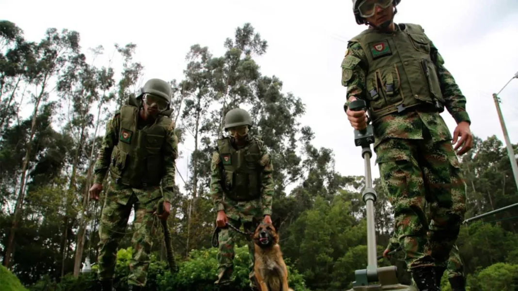 ¿Es Oriente más seguro con las estrategias implementadas por las autoridades?