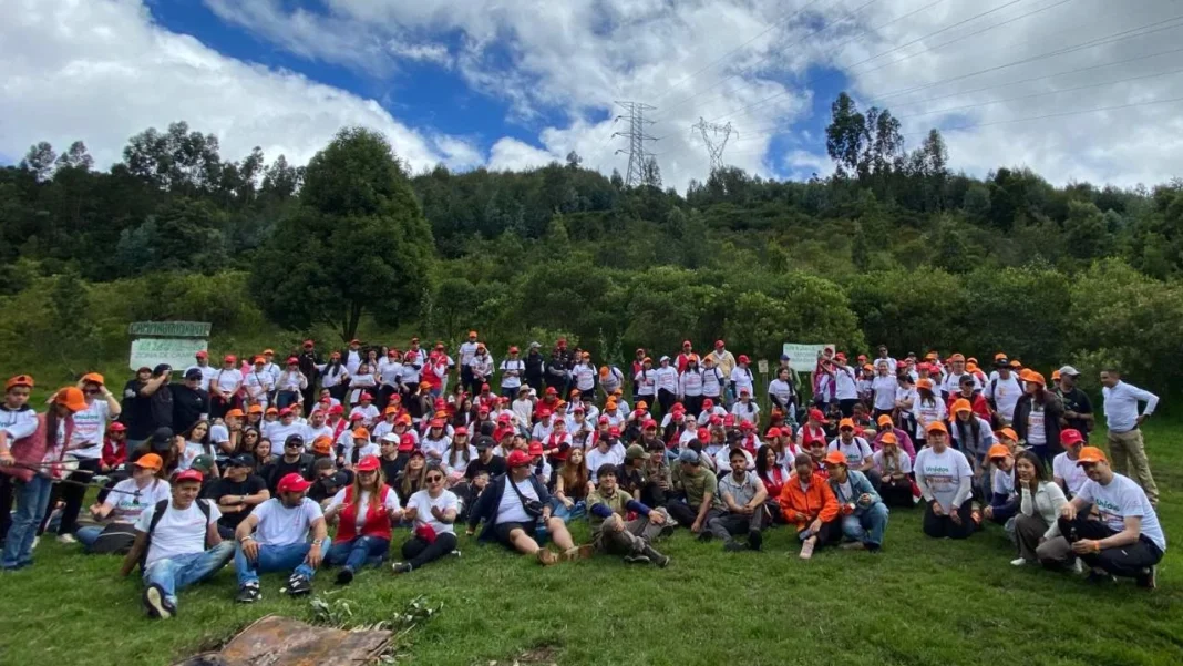 Más de 1.500 árboles para un futuro sostenible: empresas se unen por el medio ambiente en Cajicá