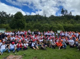 Más de 1.500 árboles para un futuro sostenible: empresas se unen por el medio ambiente en Cajicá
