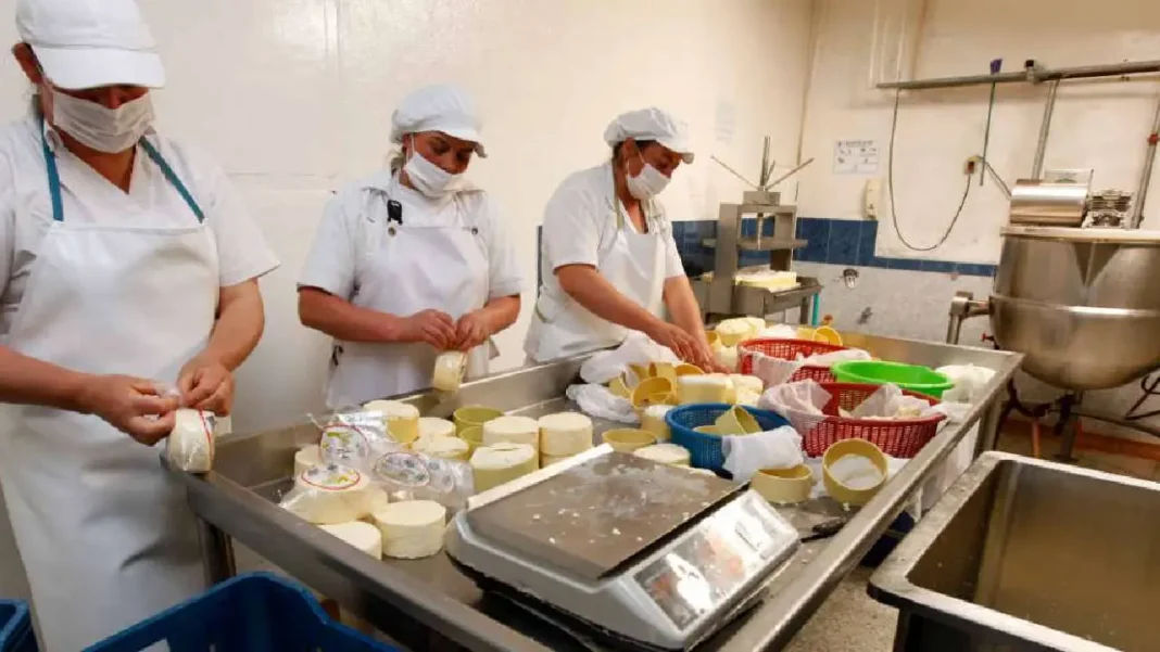 El emprendimiento se enfría: creación de empresas cayó casi 32% en el primer semestre