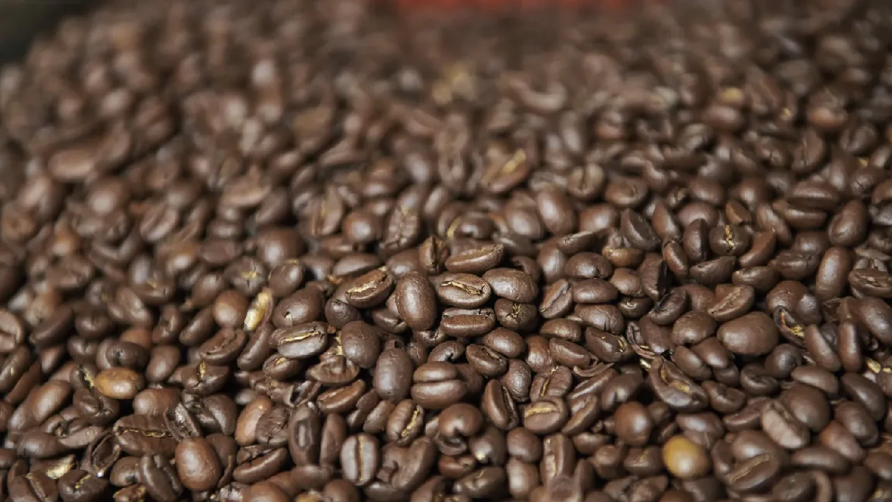 Colombia, cuarto exportador mundial de café: calidad y producción propia impulsan su liderazgo