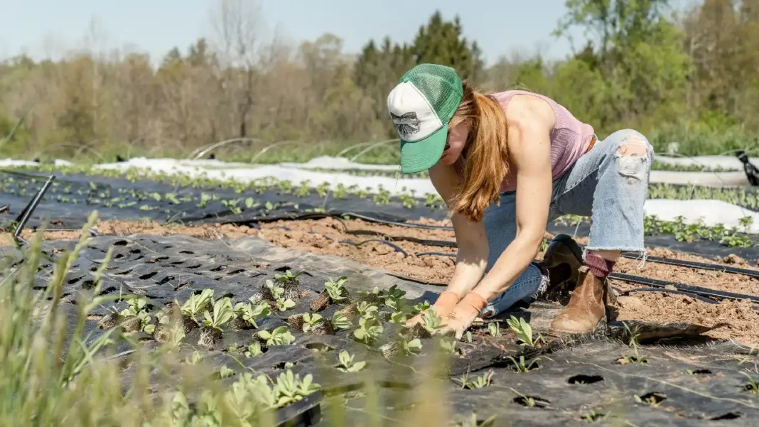 Turismo regenerativo crece en Colombia como alternativa al modelo tradicional de viajes