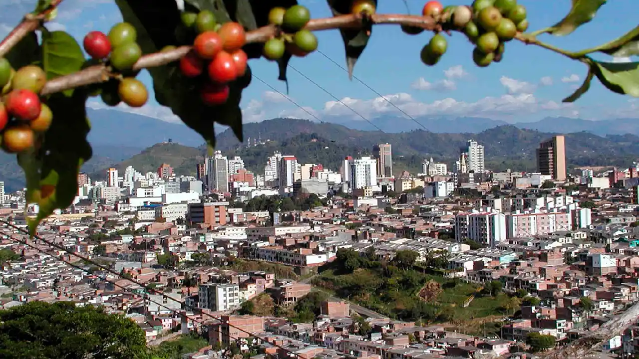 Arte, música y lectura: plan cultural imperdible en tres ciudades este fin de semana