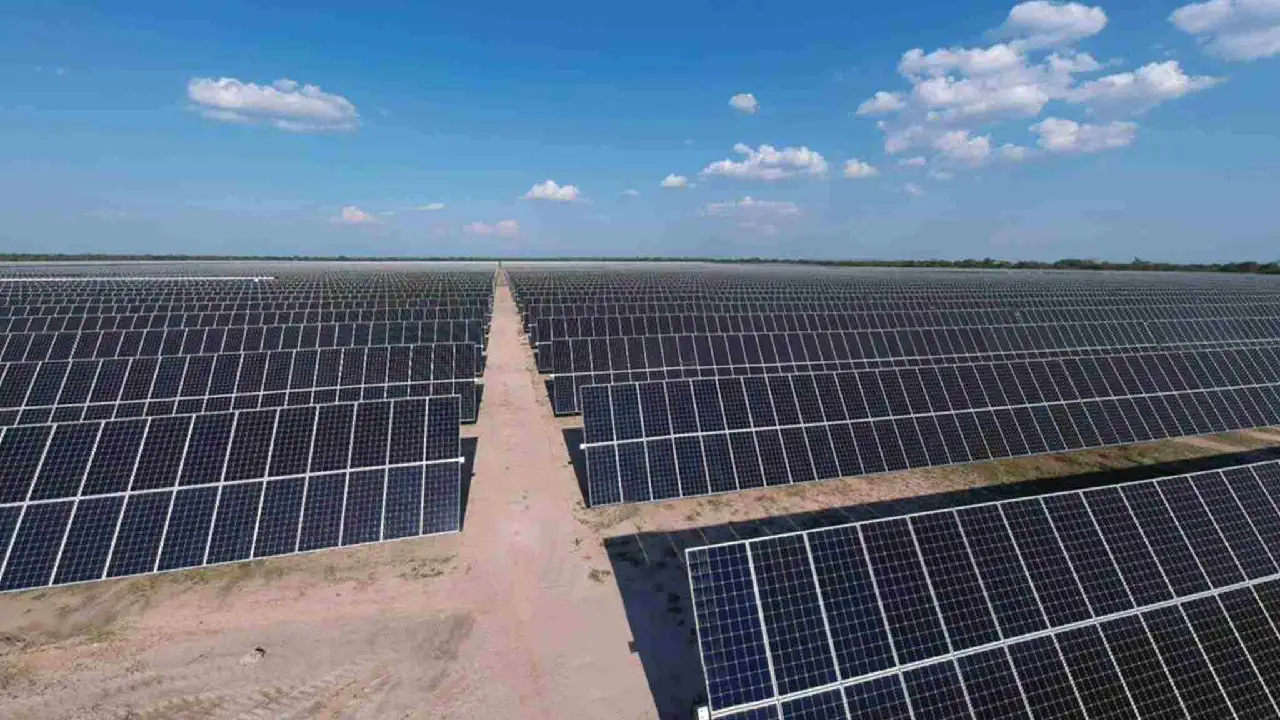 Con 15 nuevos proyectos solares, Grupo Cox refuerza su apuesta por proyectos solares en Colombia