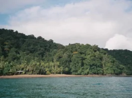 A qué hora tocará tierra el Tsunami en Colombia y en qué partes