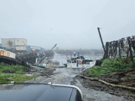 En videos: así se vivió el terremoto en Rusia este martes 29 de julio
