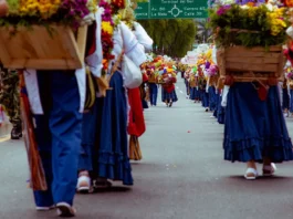 Desfile de Silleteros 2025: tradición, color y orgullo campesino en Medellín