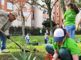 El Distrito de Medellín hará relevante inversión que busca fortalecer la cultura ambiental