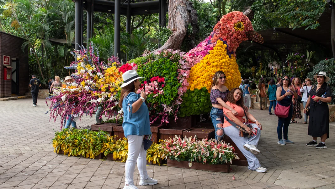 Entre el 5 y el 10 de agosto, el Jardín Botánico de Medellín se llena nuevamente de vida, color y tradición con FLORECER: orquídeas, naturaleza y tradiciones, un evento que celebra el arte de cultivar flores y la invaluable biodiversidad de Colombia.