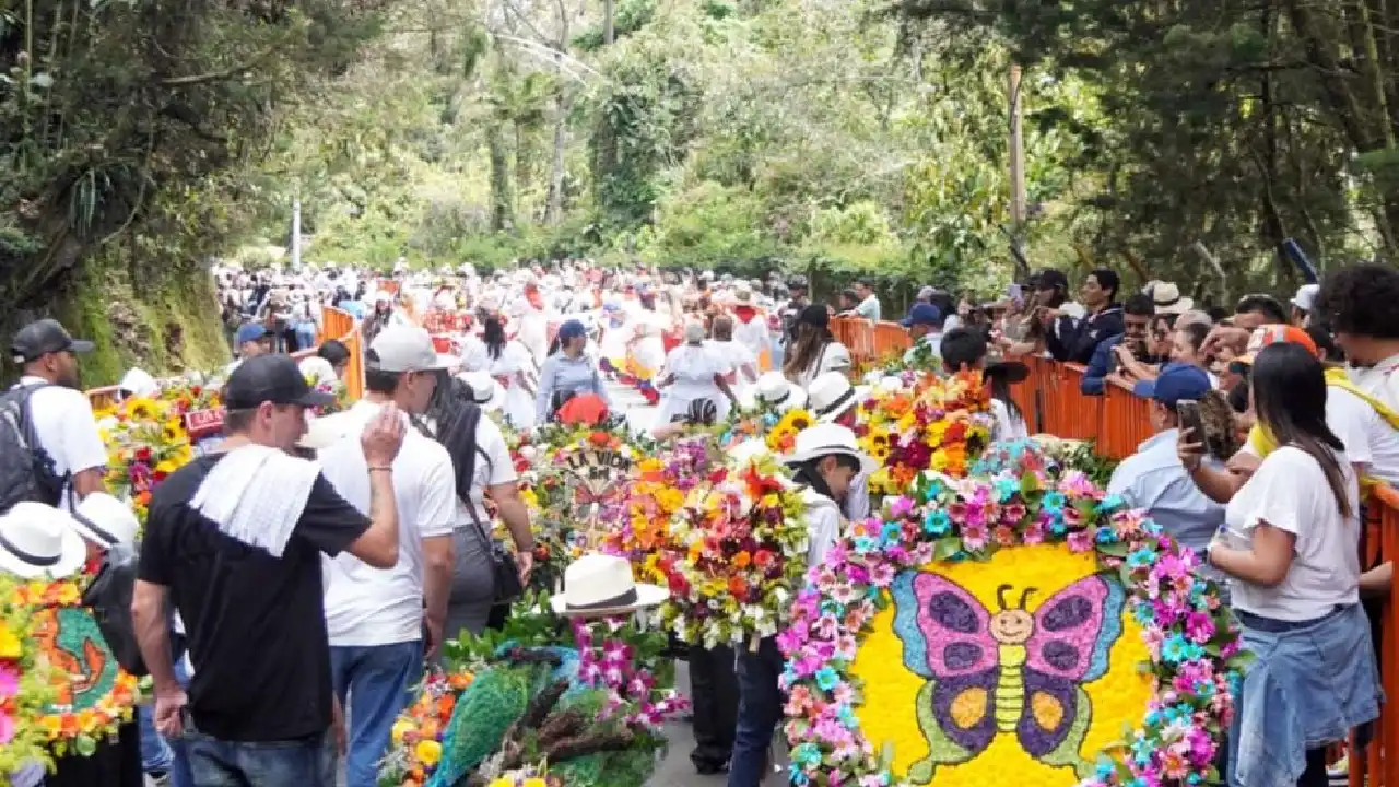 Medellin 3