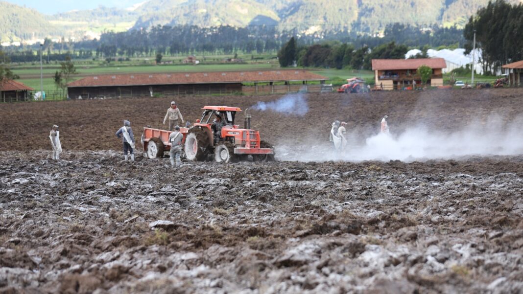 Precios de los fertilizantes en Colombia caen por primera vez en once meses