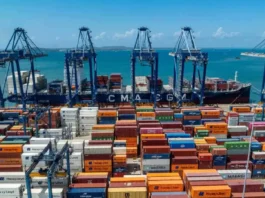 Sector agropecuario impulsó exportaciones en mayo pese a fuerte caída en combustibles