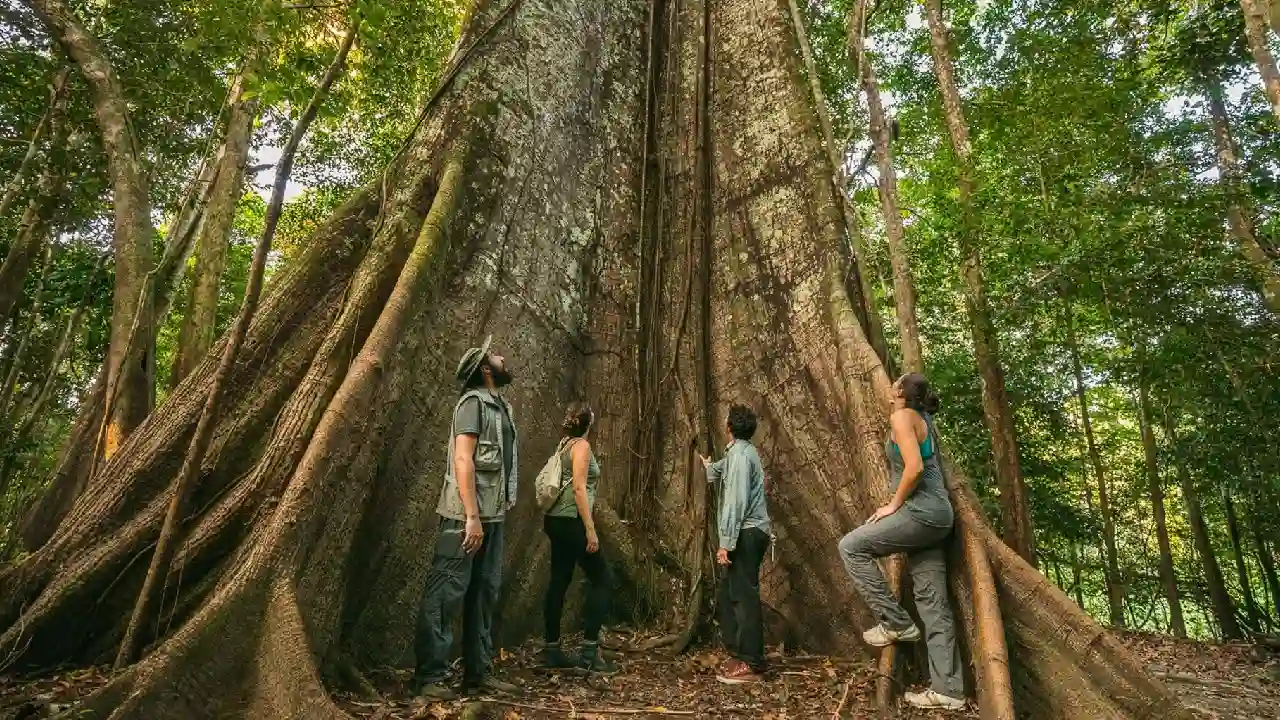EE. UU. lidera ranking global de economías turísticas con 2.3 billones de dólares