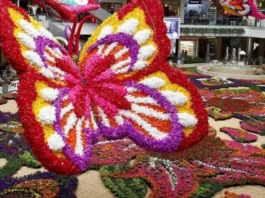 ¿Qué hacer en la Feria de las Flores en Medellín hoy? Programación completa