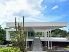 Medellín inspira al mundo: la ciudad que transformó la visión del arquitecto Lyongo Juliana