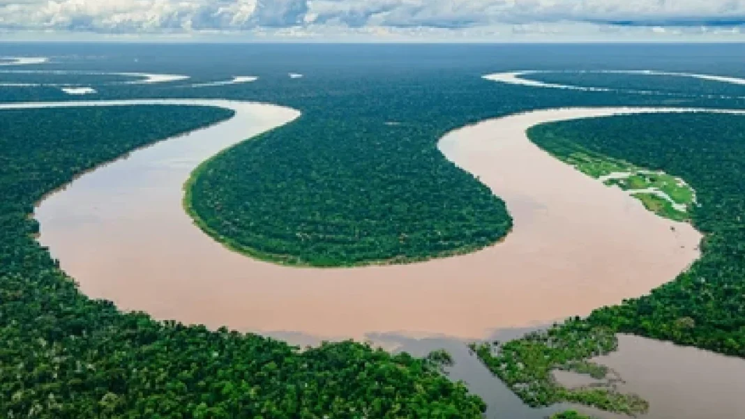 Colombia debe defender su soberanía en el Amazonas con diplomacia y estudio