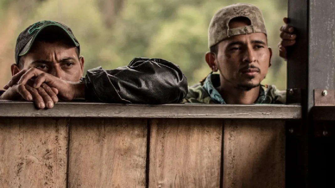 Más de 1.300 excombatientes avanzan en su reintegración en Antioquia