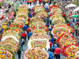 Feria de las Flores 2025 proyecta impacto económico récord de US$50,2 millones
