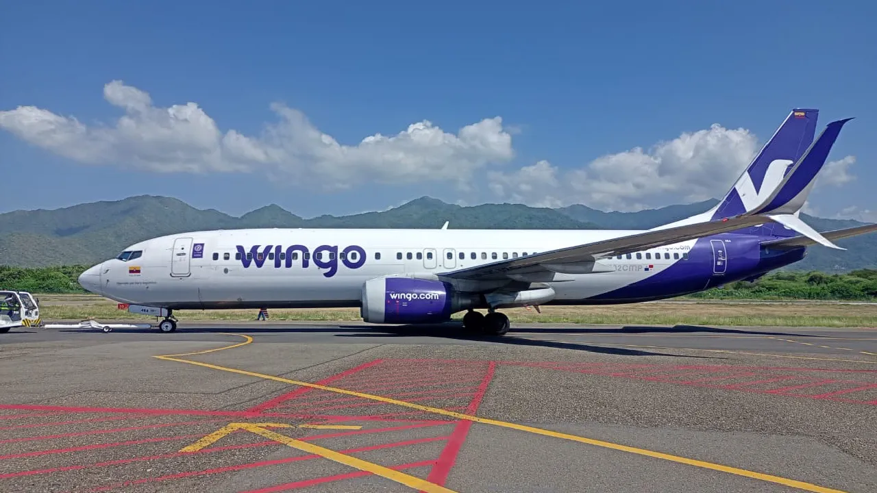 Wingo 1