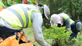 ¿Está siendo eficiente Medellín con el manejo de los residuos sólidos? Entérese aquí 2 ¿Está siendo eficiente Medellín con el manejo de los residuos sólidos? Entérese aquí