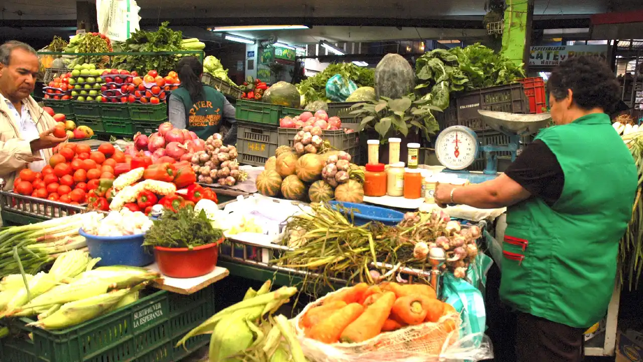 Reforma tributaria: alimentos básicos no tendrán IVA, anuncia el Ministerio de Hacienda