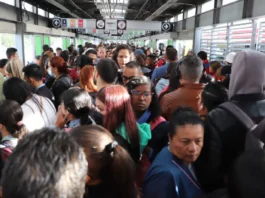 ¿Y la clase baja vuela?