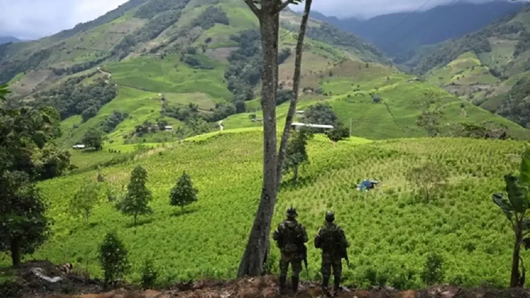 Colombia saca barata su descertificación