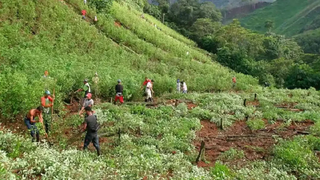 Cuánto tiene Colombia para echar para atras la descertificación antidrogas