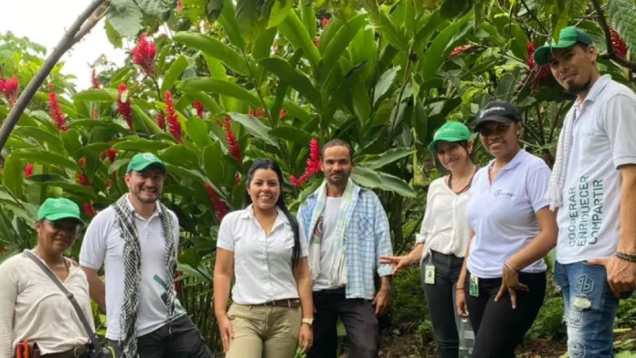 Orgullo del Cesar: Drummond Ltd. celebra la exportación de 50 toneladas de cacao premium al Reino Unido