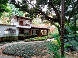 Con ferias, conciertos, foros y hallazgos arqueológicos, el patrimonio cultural de Envigado brilló en septiembre como una agenda que fortalece la identidad y orgullo de la ciudad señorial.