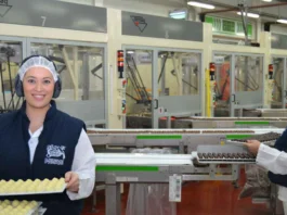 La feria laboral virtual de Nestlé 2025 ofrece más de 9.000 vacantes en Colombia. Conoce los requisitos, empresas participantes y cómo postularte.
