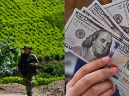 Colombia: entre el control criminal, la producción récord de coca y el mayor lavadero de dinero