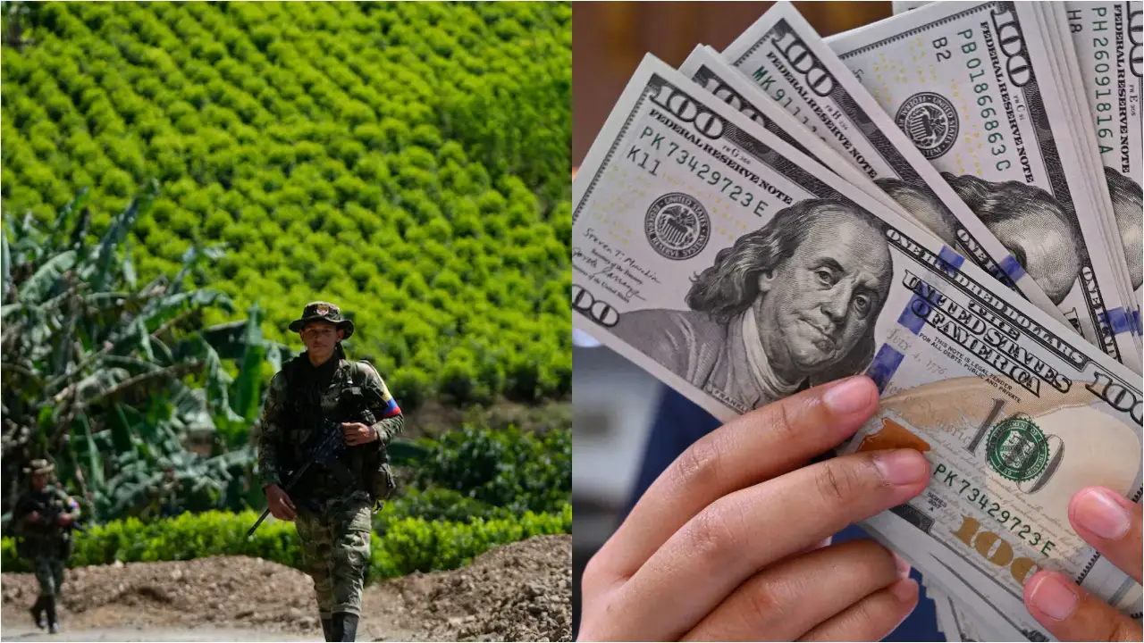 Colombia: entre el control criminal, la producción récord de coca y el mayor lavadero de dinero