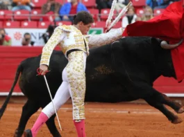 No habrá más corridas de toros en Colombia y otras actividades: Corte Constitucional se pronunció